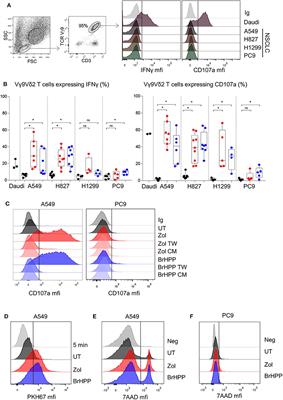 Vγ9Vδ2 T Cells Activation Through Phosphoantigens Can Be Impaired by a RHOB Rerouting in Lung Cancer